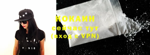 индика Володарск