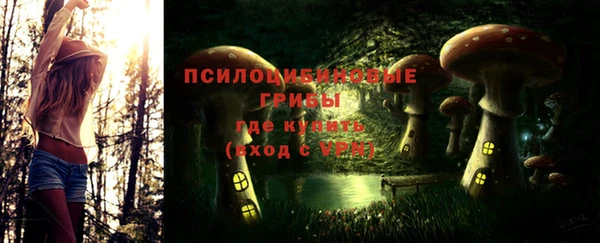 герыч Вяземский