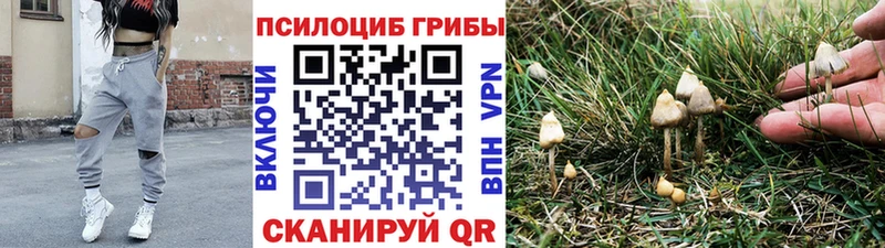 Псилоцибиновые грибы прущие грибы Зима